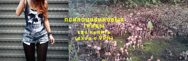 мяу мяу кристалл Лабытнанги