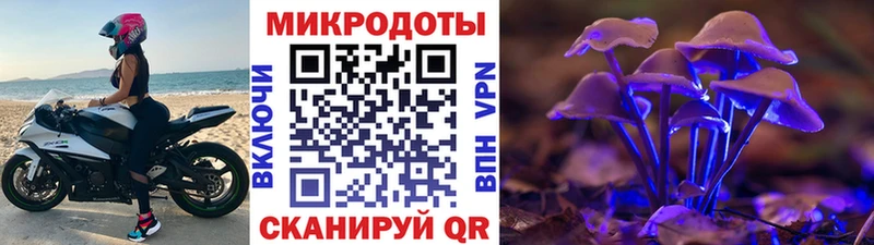 Галлюциногенные грибы Psilocybine cubensis  мориарти официальный сайт  Тейково 