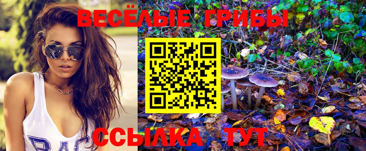 Псилоцибиновые грибы мухоморы Тейково