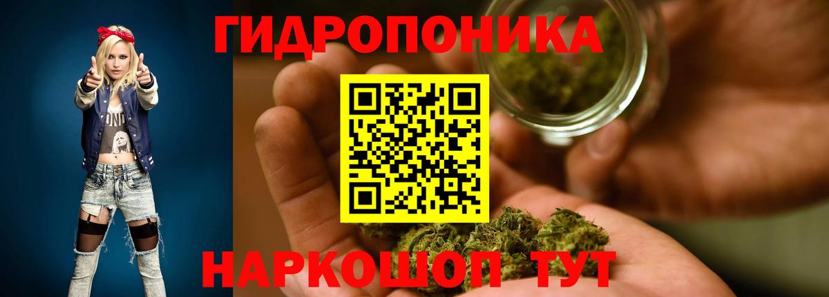 Тейково  Конопля сатива  Конопля MAZAR  Вход с VPN 
